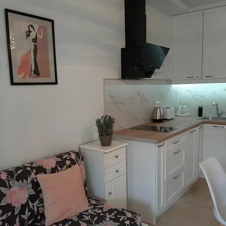 Apartment Olga Aprt Ipsos